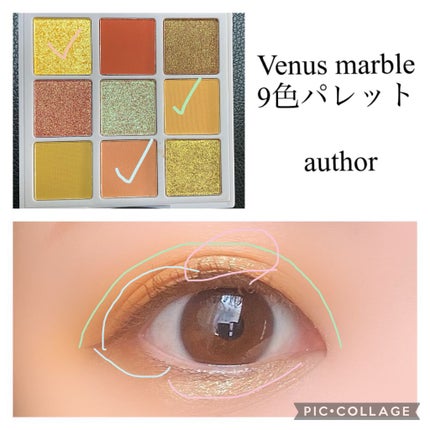 VenusMarble 9色アイシャドウパレット/Venus Marble/アイシャドウパレットを使ったクチコミ(2枚目)