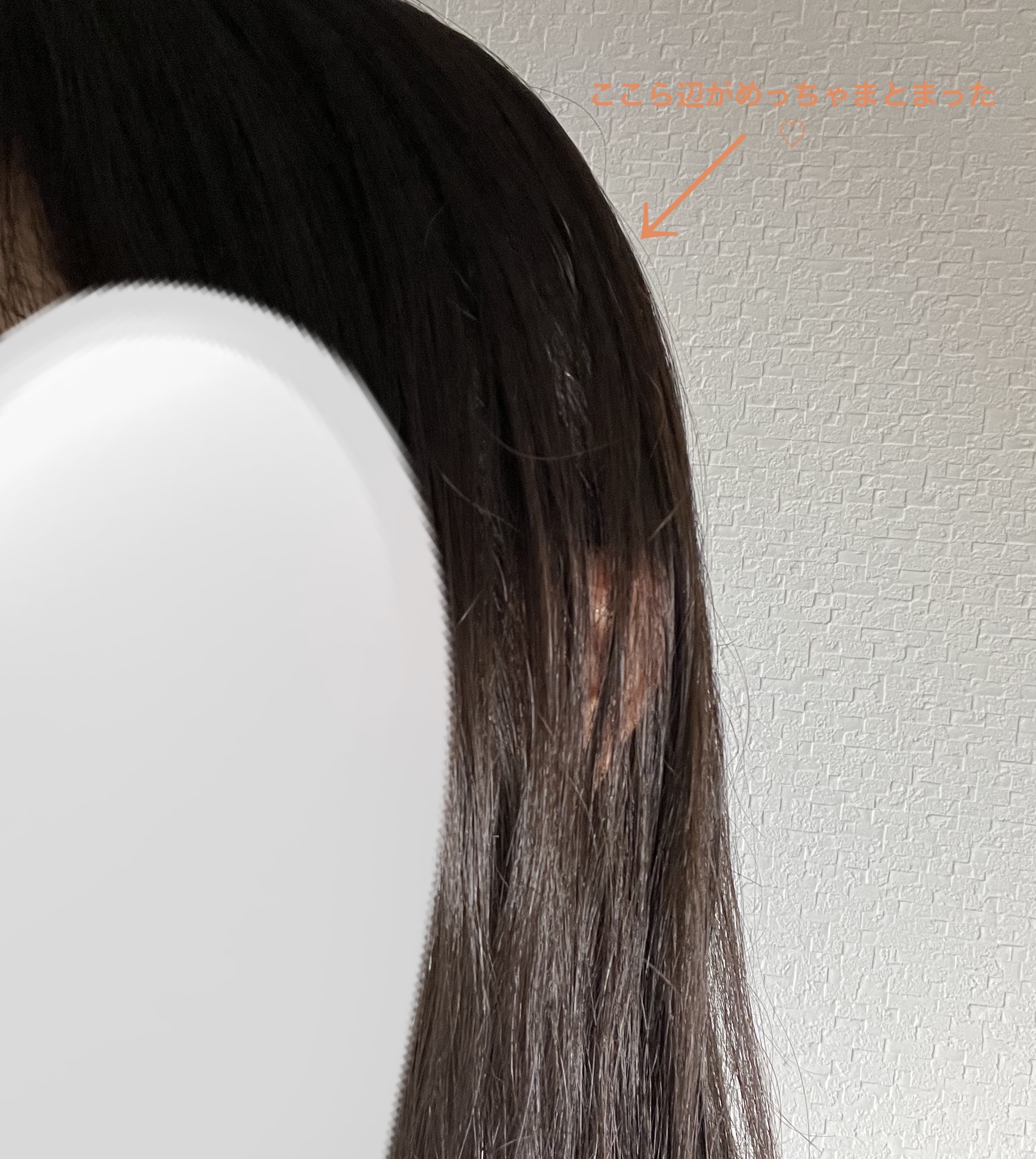 エッセンシャル プレミアム ウォータートリートメント ナチュラルモイスト/エッセンシャル/アウトバストリートメントを使ったクチコミ（2枚目）