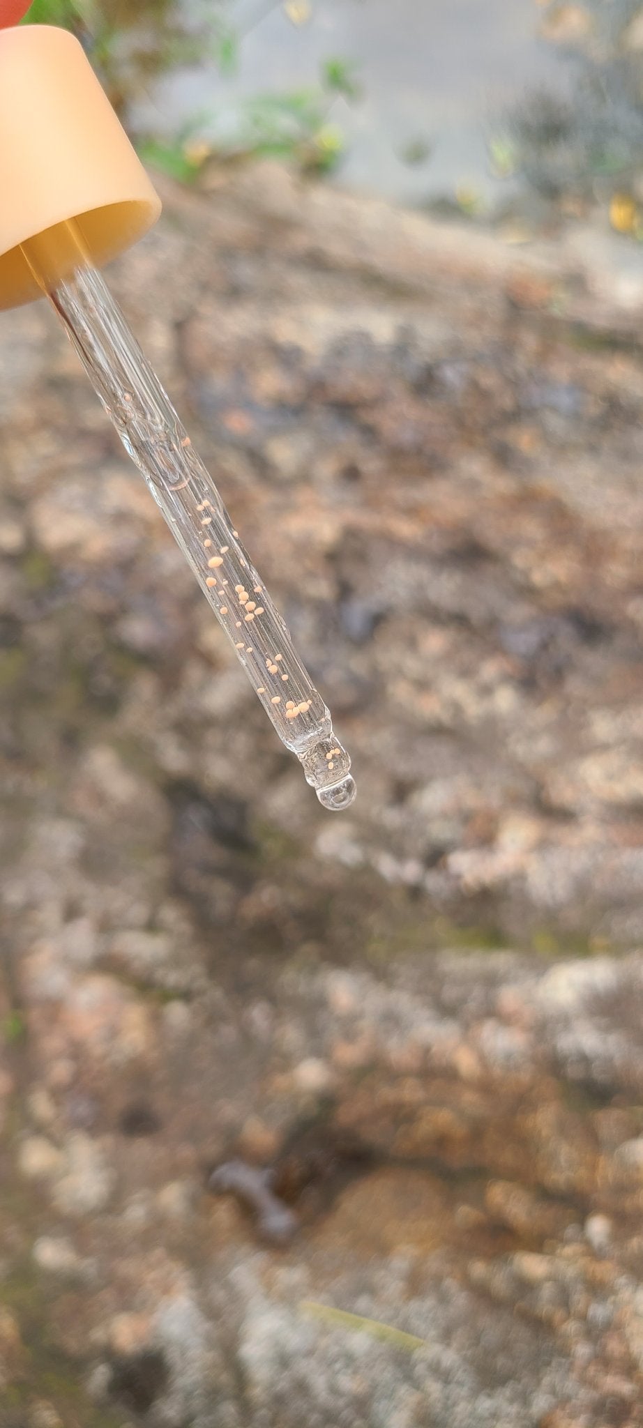 アビブ グルタチオンソームダークスポットセラムビタドロップ/Abib /美容液を使ったクチコミ(7枚目)