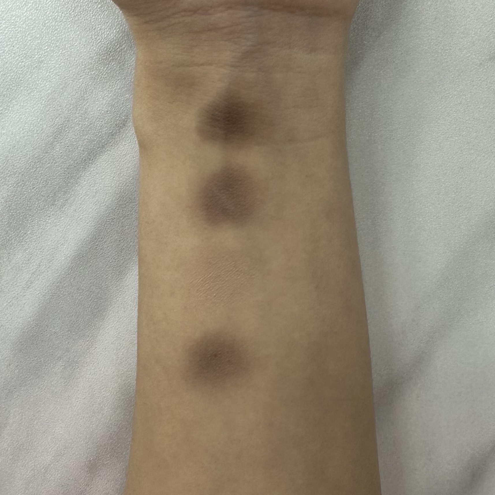 ミックスアイブロウ/キャンメイク/パウダーアイブロウを使ったクチコミ（3枚目）