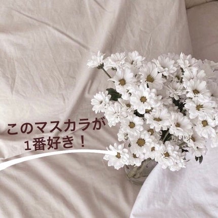 ラッシュエキスパンダー ロングロングロング/MAJOLICA MAJORCA/マスカラを使ったクチコミ(1枚目)