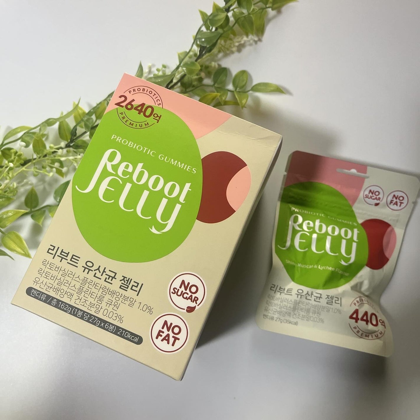 ひとりコスメ部 フォロバ100 on LIPS 「韓国の人気サプリ🇰🇷🥰リブートプロバイオティクスゼリー@kob..」(2枚目)