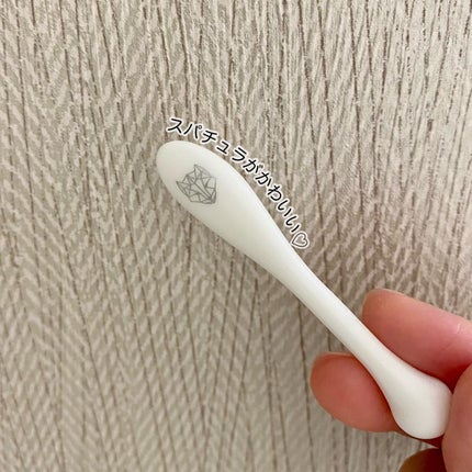 SAKE ナイトクリーム/SNOW FOX SKINCARE/フェイスクリームを使ったクチコミ(4枚目)