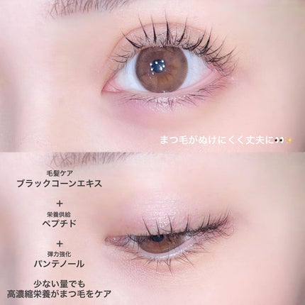 ラッシュ&ブラウン ブラックビーンセラム/keybo/まつげ美容液を使ったクチコミ(2枚目)