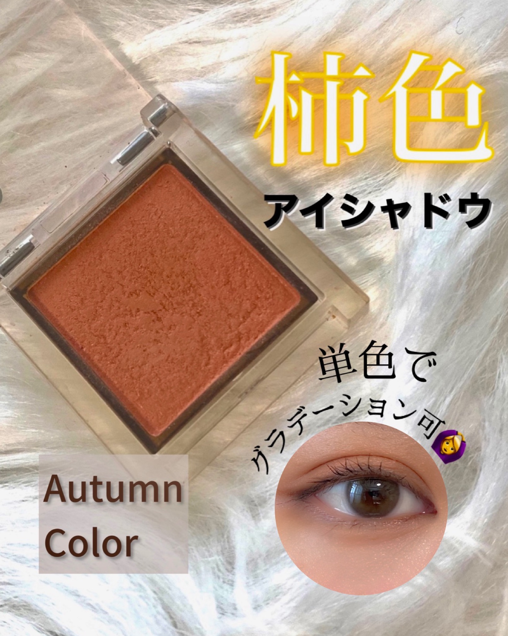 アイプランナー F06 チリペッパー/excel/単色アイシャドウを使ったクチコミ（1枚目）