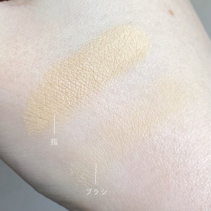 薬用コンシーラー アクネプロテクター/ONLY MINERALS/パウダーコンシーラーを使ったクチコミ(5枚目)