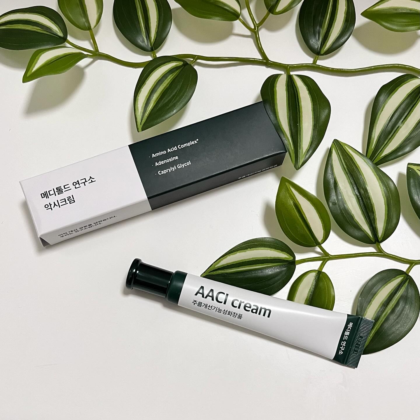 メディトールド研究所 アイシークリーム