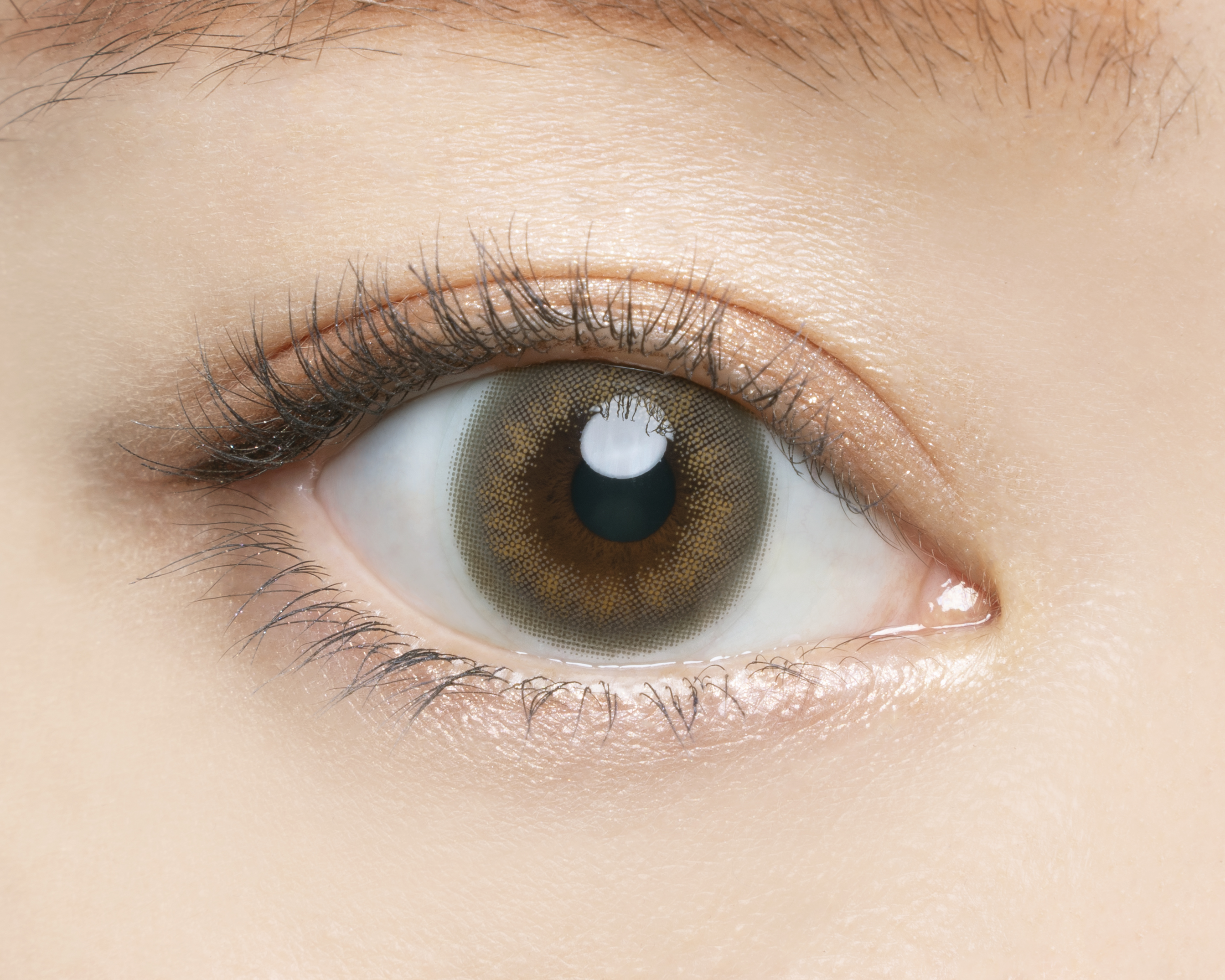 Angelcolor Bambi Series Vintage 1day ヴィンテージグレージュ