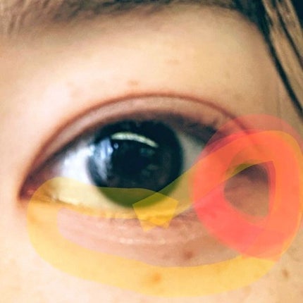 ポアレスクリアプライマー/キャンメイク/化粧下地を使ったクチコミ(3枚目)