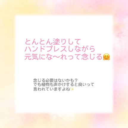 ハイポアレジェニック シカ クリーム/Dermatory/フェイスクリームを使ったクチコミ(5枚目)