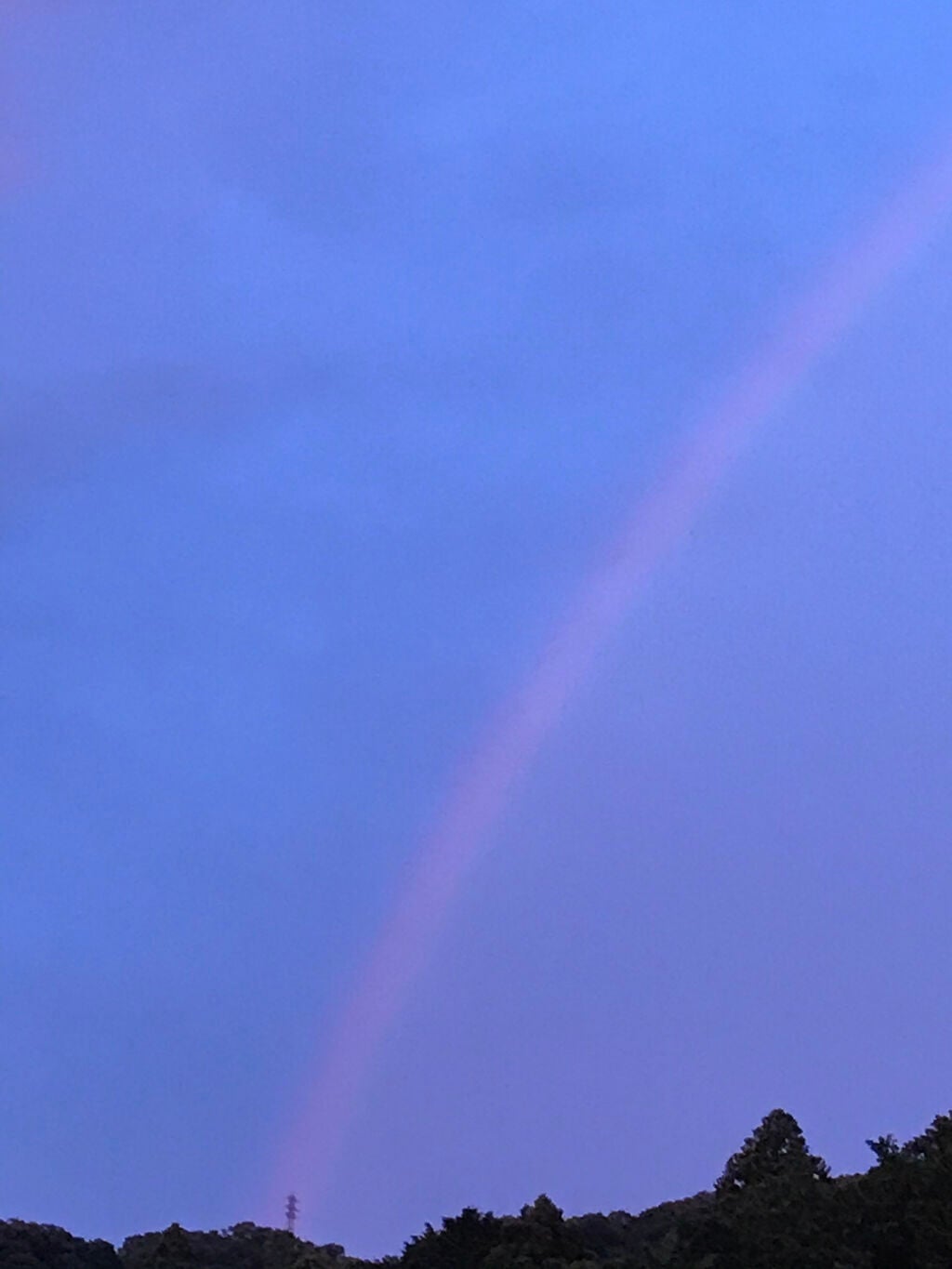 モグ ジェルクレンジング/mogu/クレンジングジェルを使ったクチコミ(1枚目)