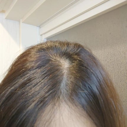 RJヘアカラートリートメント/アピセラピーコスメティクス/洗い流すヘアトリートメントを使ったクチコミ(4枚目)