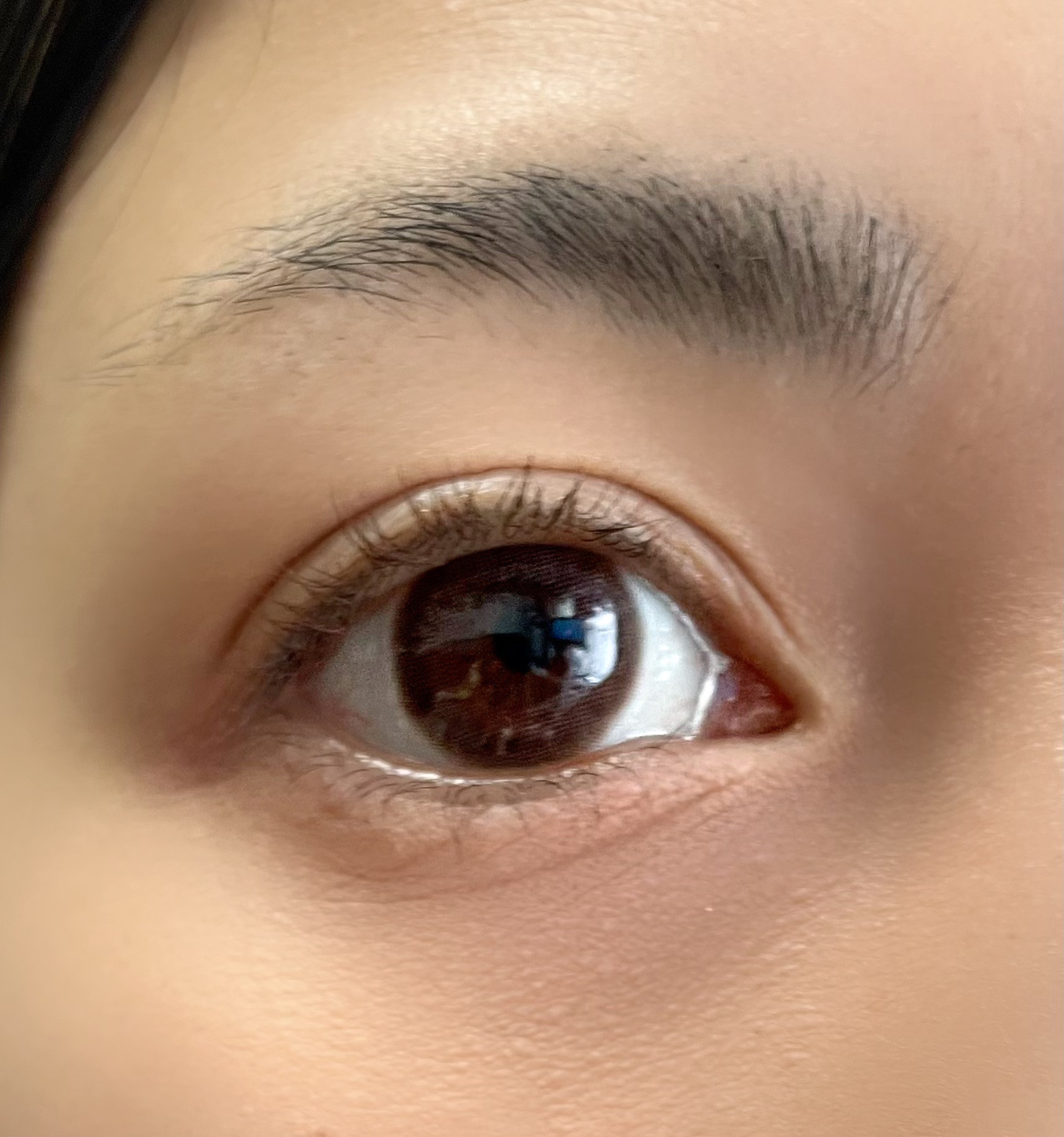 アイラッシュセラム/VIYEUX/まつげ美容液を使ったクチコミ（3枚目）