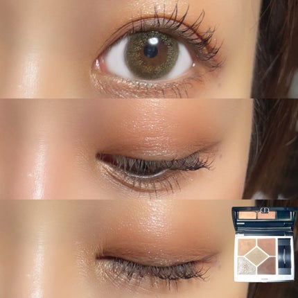 ニュアンスアイライナー ブランベージュ/シアーズ/リキッドアイライナーの画像