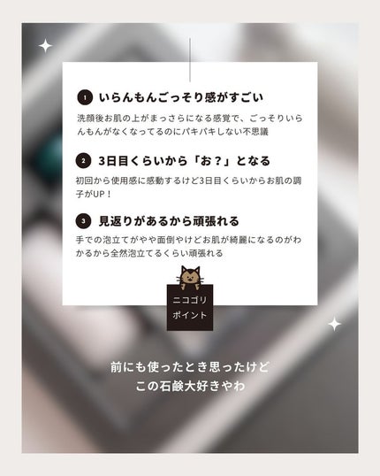 サボンフォンセ/P.G.C.D.(ペー・ジェー・セー・デー)/洗顔石鹸を使ったクチコミ(6枚目)