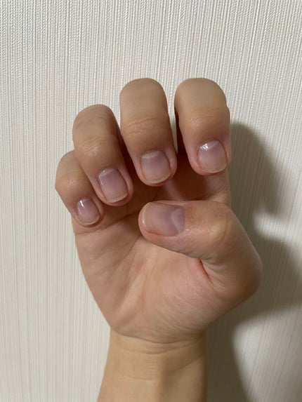 を使ったクチコミ(2枚目)