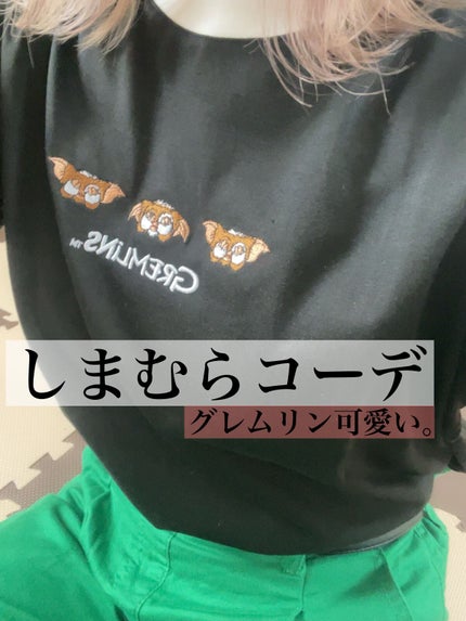 購入品/しまむら/その他を使ったクチコミ(1枚目)