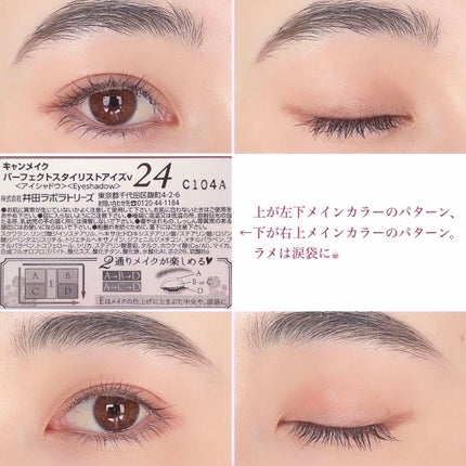 パーフェクトマルチアイズ/キャンメイク/アイシャドウパレットを使ったクチコミ(10枚目)
