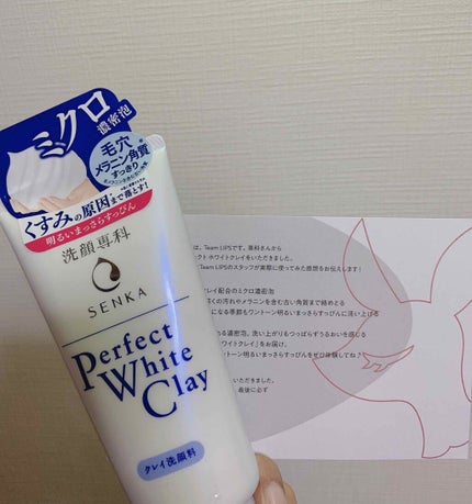 パーフェクトホワイトクレイ/SENKA(専科)/洗顔フォームを使ったクチコミ(1枚目)