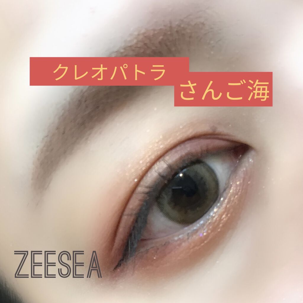大英博物館 エジプトシリーズ アイシャドウパレット/ZEESEA/アイシャドウパレットを使ったクチコミ（1枚目）