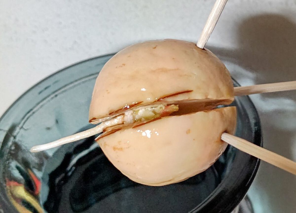 ガラス花瓶/DAISO/その他を使ったクチコミ（3枚目）