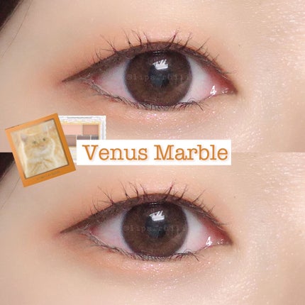 クイックラッシュカーラー/キャンメイク/マスカラ下地を使ったクチコミ(1枚目)