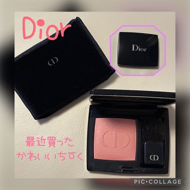 【旧】ディオールスキン ルージュ ブラッシュ 361 ローズ ベゼ/Dior/パウダーチークの画像