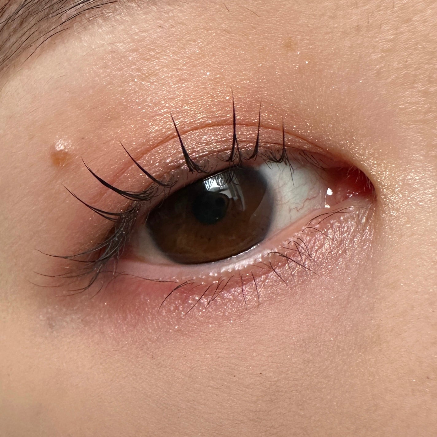 クリーミータッチライナー/キャンメイク/ジェルアイライナーを使ったクチコミ(2枚目)