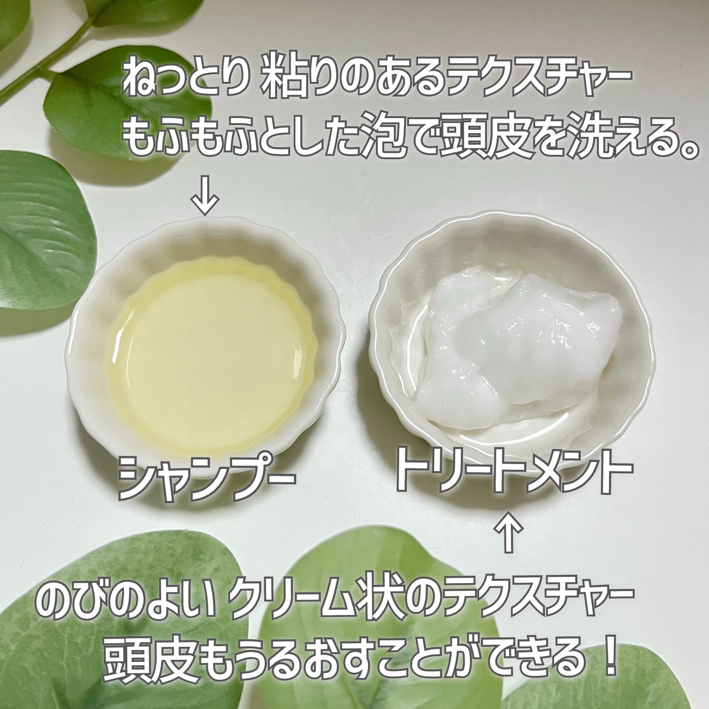 スカルプD ボーテ 薬用スカルプシャンプー (ボリューム)/薬用トリートメントパック (ボリューム)/アンファー(スカルプD)/市販シャンプーを使ったクチコミ(2枚目)