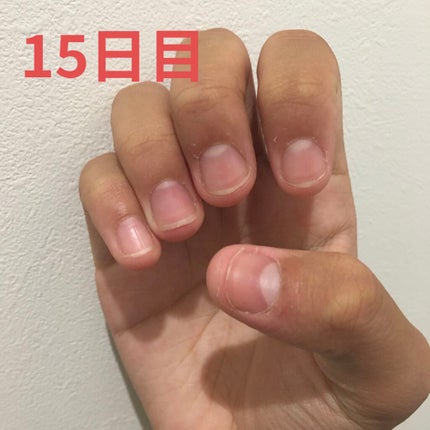 ã䜿ã£ãã¯ãã³ãïŒ1æç®ïŒ