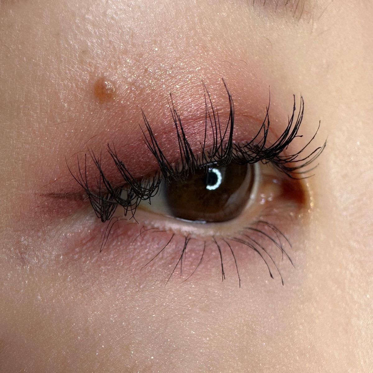 パーフェクトエクステンション マスカラ/D-UP/マスカラを使ったクチコミ（2枚目）