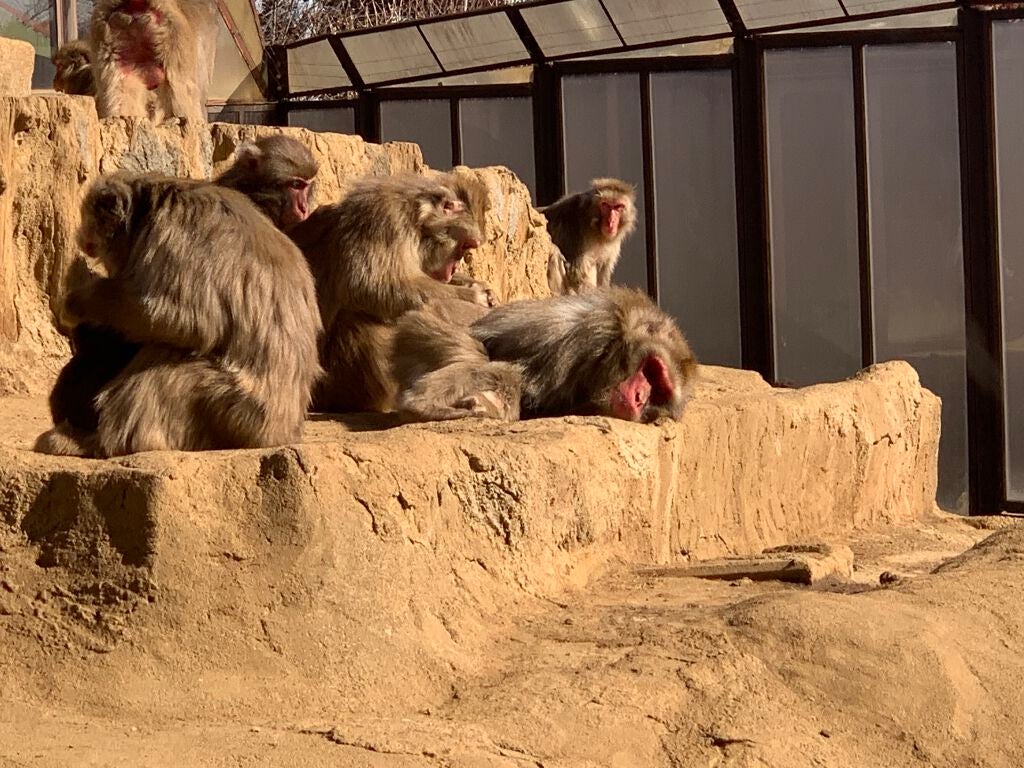 ベリーデリシャス クリームチーク/ETUDE/ジェル・クリームチークを使ったクチコミ(5枚目)