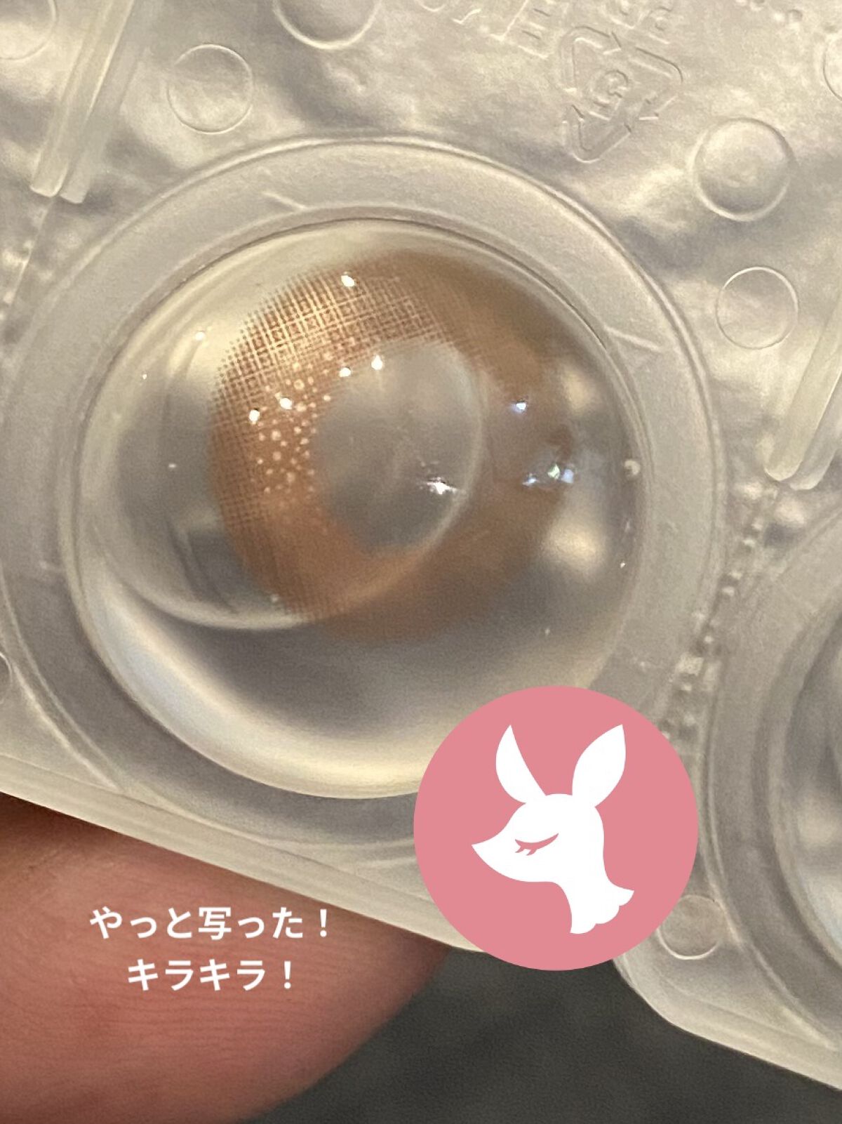 フェアリー ワンデー シマーリングシリーズ Jelly Coral（ジェリーコーラル）/FAIRY/ワンデー（１DAY）カラコンを使ったクチコミ（1枚目）