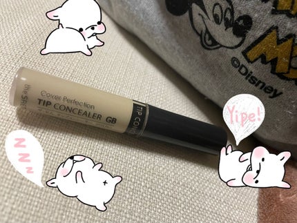 カバーパーフェクション チップコンシーラー/the SAEM/リキッドコンシーラーを使ったクチコミ(1枚目)