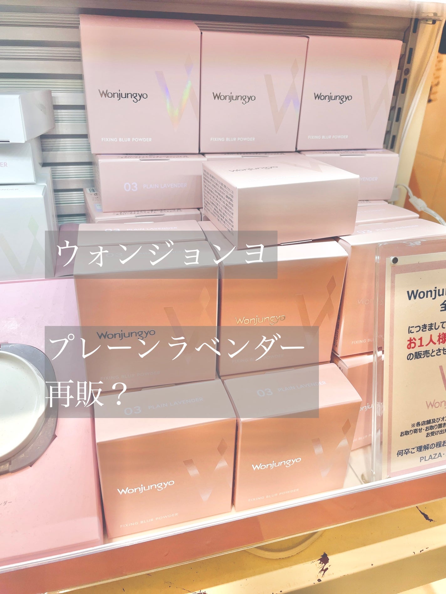 ウォンジョンヨ フィクシングブラーパウダー N/Wonjungyo/ルースパウダーを使ったクチコミ(1枚目)