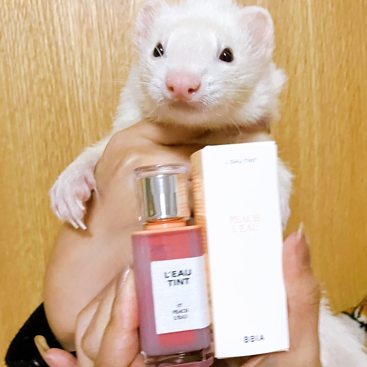 ローティント/BBIA/リップティントを使ったクチコミ（1枚目）