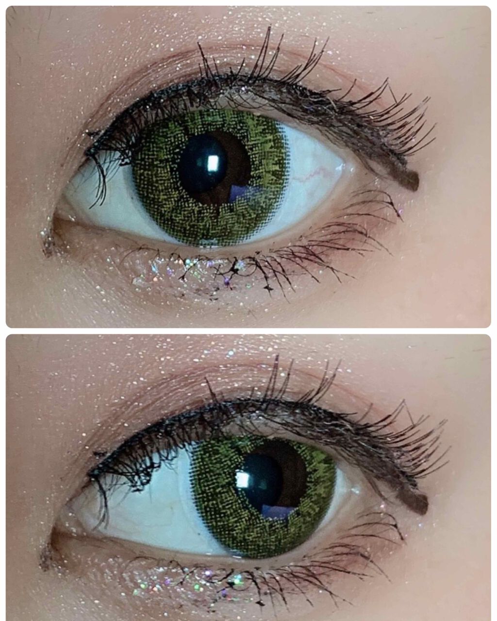 Angelcolor Bambi Series 1day /AngelColor/ワンデー(1DAY)カラコンを使ったクチコミ(1枚目)