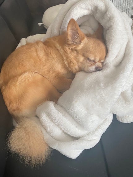 【旧】ミス ディオール ヘア ミスト/Dior/ヘアミストを使ったクチコミ(5枚目)