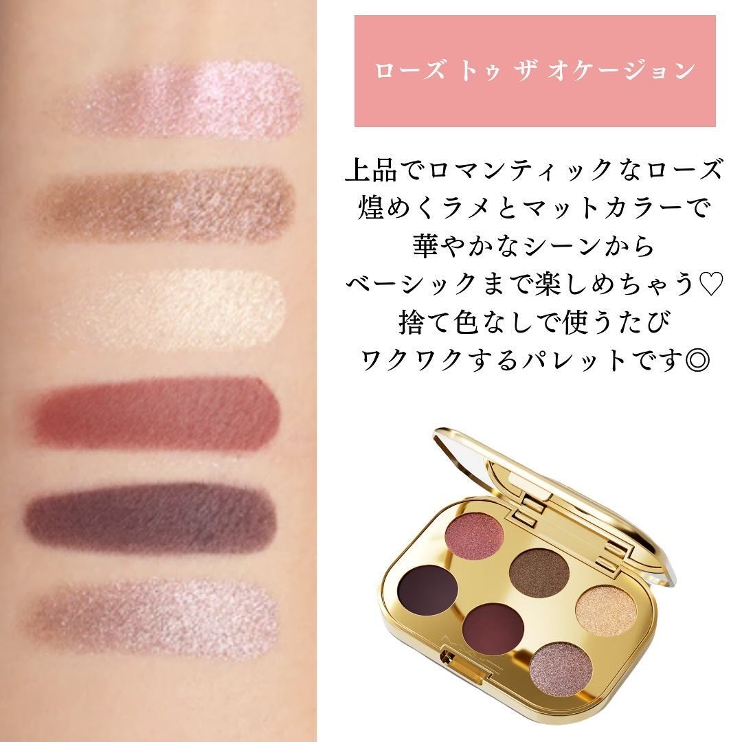 トレジャー アイシャドウ パレット ×6/M・A・C/アイシャドウパレットを使ったクチコミ(4枚目)