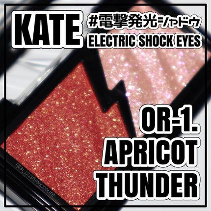 エレクトリックショックアイズ /KATE/アイシャドウパレットを使ったクチコミ(1枚目)