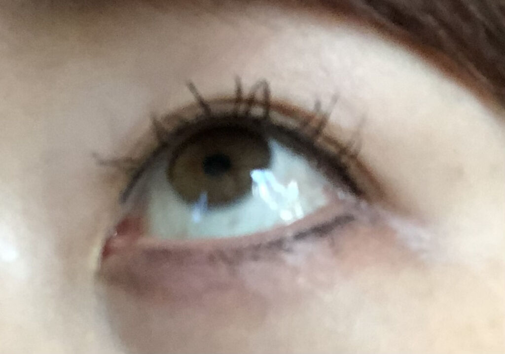 ラッシュエキスパンダー ロングロングロング EX BR606 ラズベリーブラウン 押し花/MAJOLICA MAJORCA/マスカラを使ったクチコミ（3枚目）