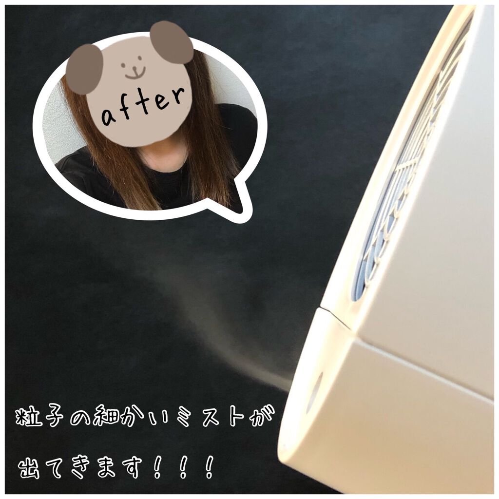 トリートメントミストドライヤー /SALONIA/ドライヤーを使ったクチコミ(5枚目)