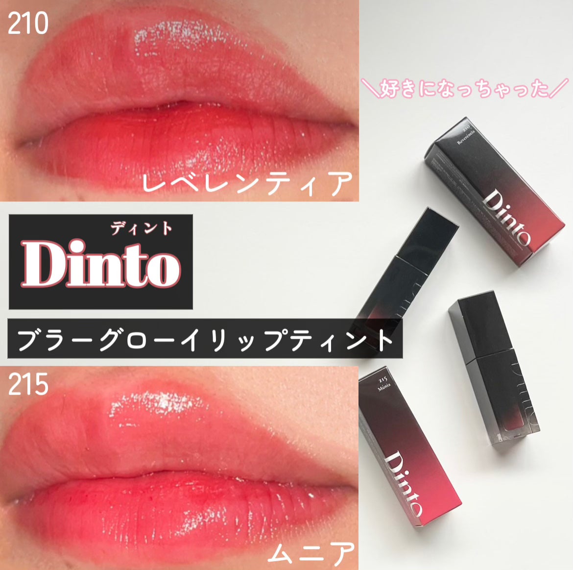 ブラーグロイリップティント/Dinto/リップティントを使ったクチコミ(1枚目)