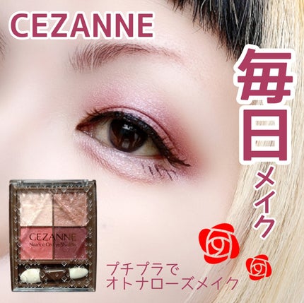 ニュアンスオンアイシャドウ/CEZANNE/アイシャドウパレットを使ったクチコミ(1枚目)