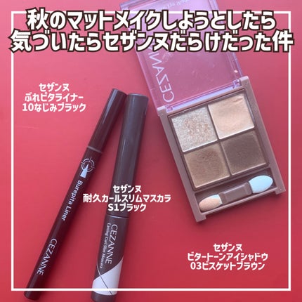 ビタートーンアイシャドウ/CEZANNE/パウダーアイシャドウを使ったクチコミ(2枚目)