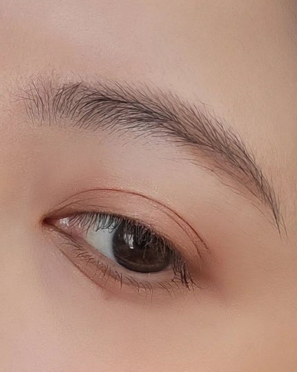 フーミー アイブロウパウダー/WHOMEE/パウダーアイブロウを使ったクチコミ(5枚目)