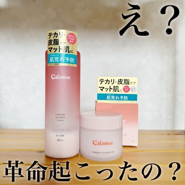 Calamee カラミンノーセバムジェルのクチコミ「ロート製薬から販売されているCalamee(カラミ―)
カラミンノーセバムローション 180m.....」（2枚目）