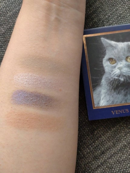 Venus Marble アイシャドウキャットシリーズ/Venus Marble/アイシャドウパレットを使ったクチコミ(5枚目)