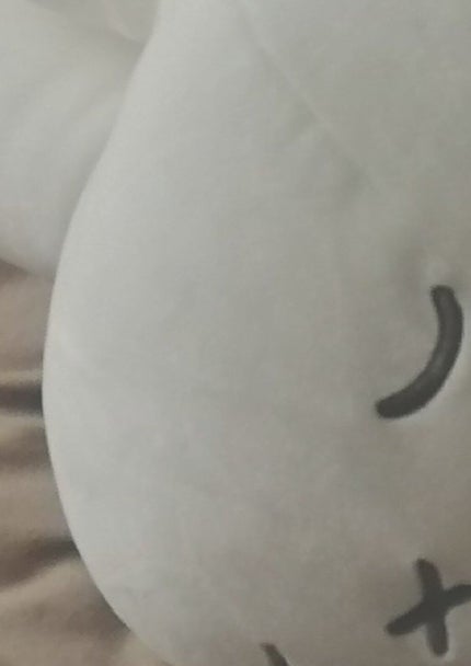 ã䜿ã£ãã¯ãã³ãïŒ1æç®ïŒ