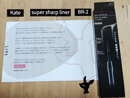 ã¹ãŒããŒã·ã£ãŒãã©ã€ããŒãã³ã·ã«/KATE/ãã³ã·ã«ã¢ã€ã©ã€ããŒã䜿ã£ãã¯ãã³ãïŒ1æç®ïŒ